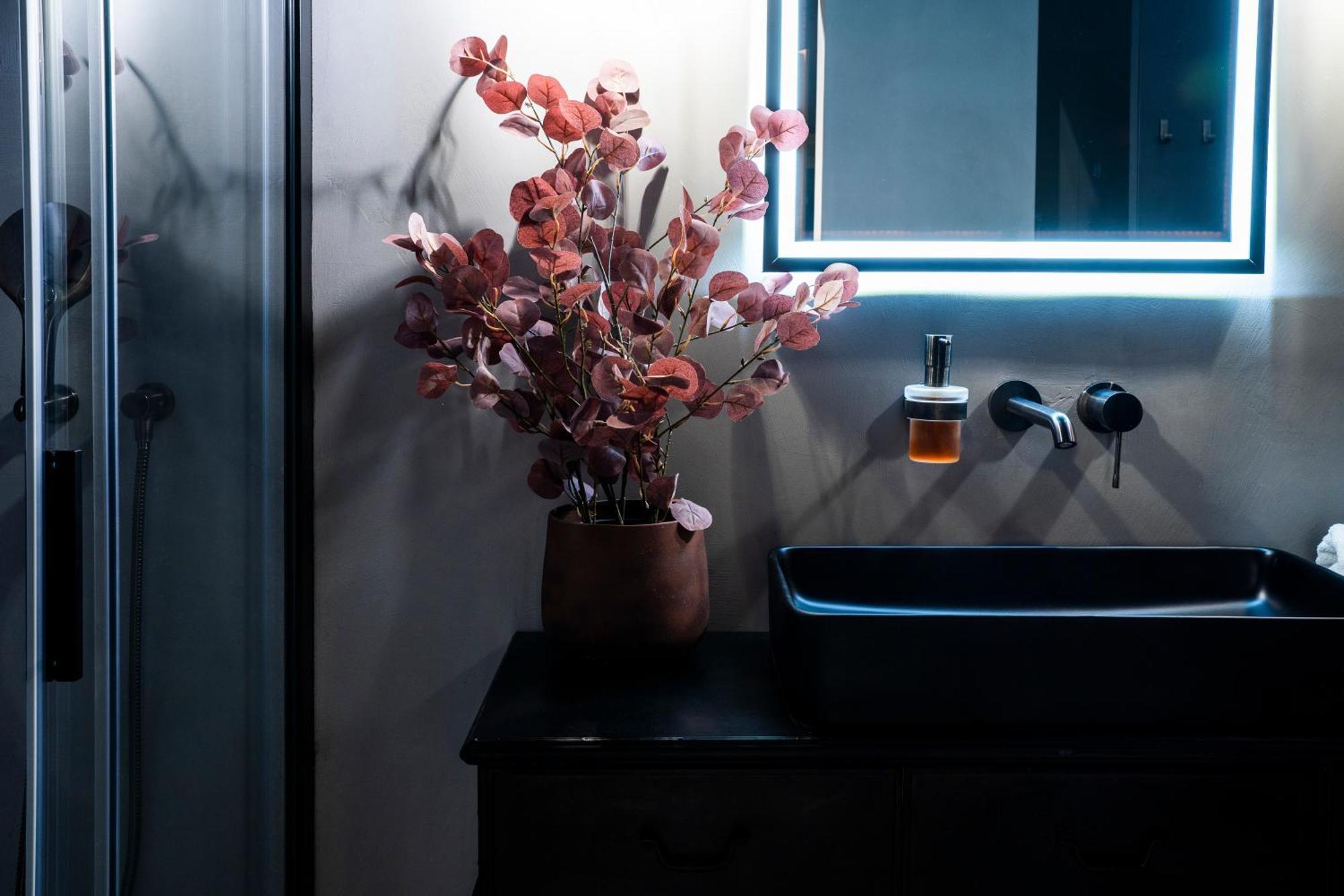 Apartment Industrial 58 Jacuzzi Zator